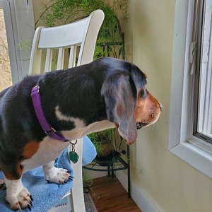 Fundraising Page: TAMMY HOERMANN